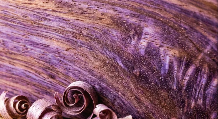 Amaranth Aus Holzart